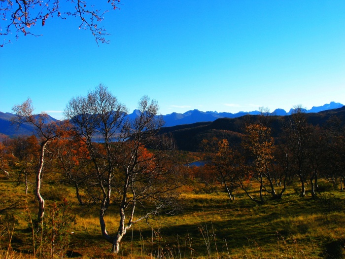 Herbststimmung