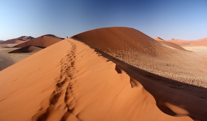 In der Namib