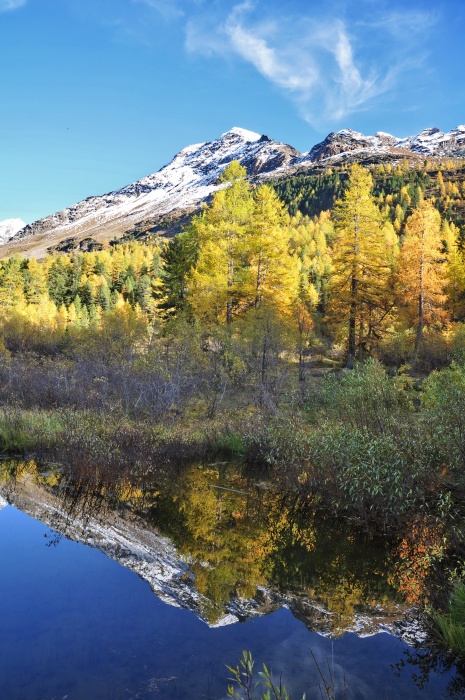Herbst im Martelltal