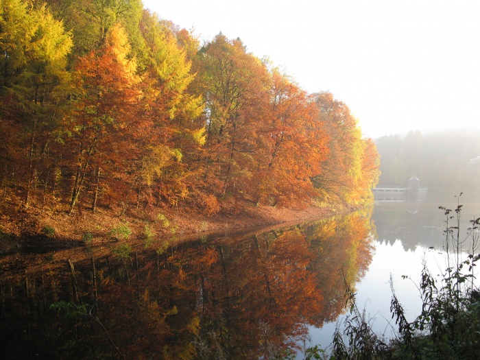 Herbststimmung