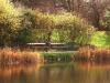 Teich im Park
