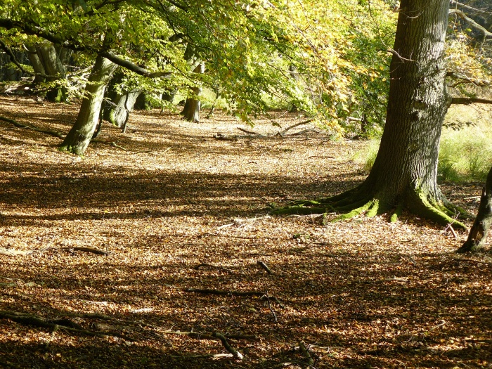 Herbst