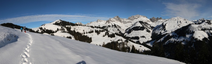 Ab auf die Alp!