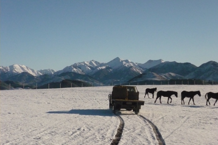 Tief in Neuseeland