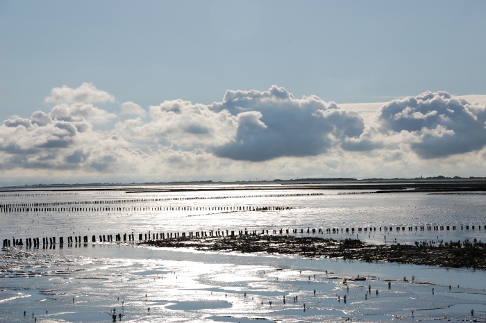 Nordsee bei Ameland