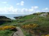 Halbinsel Howth / Irland