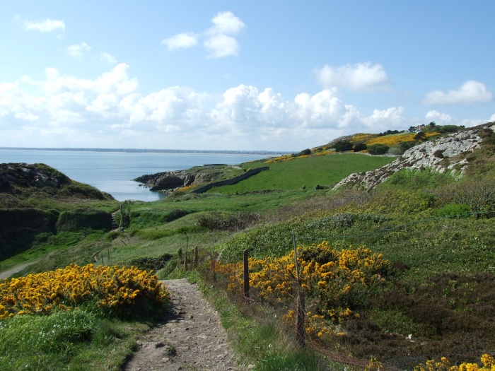 Halbinsel Howth / Irland