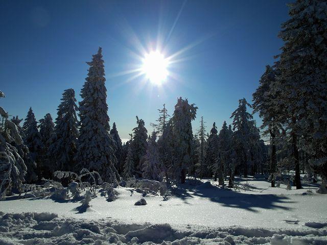 Wintersonne