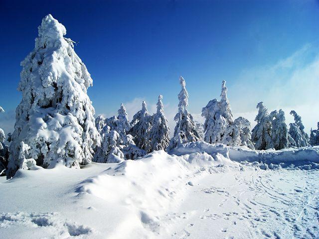 Winterwonder auf dem Brocken