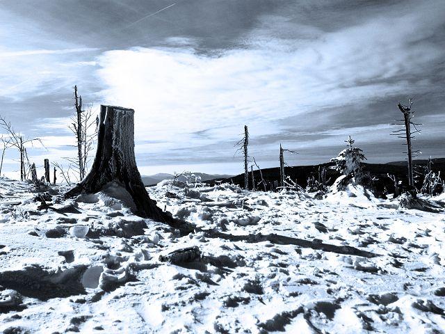 einsame Stille