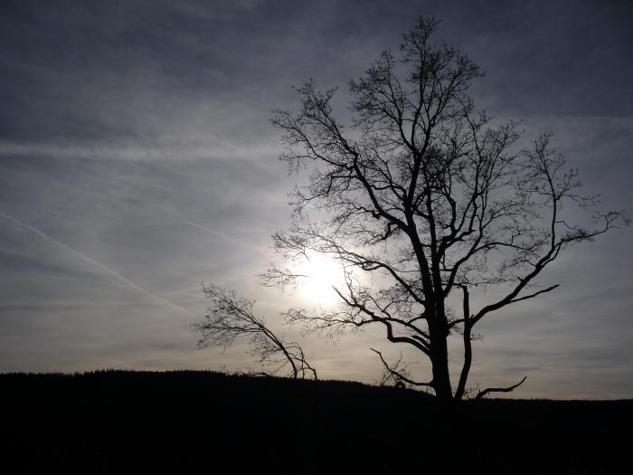 Freie Entfaltung