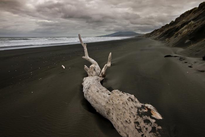 Kawhia Bay