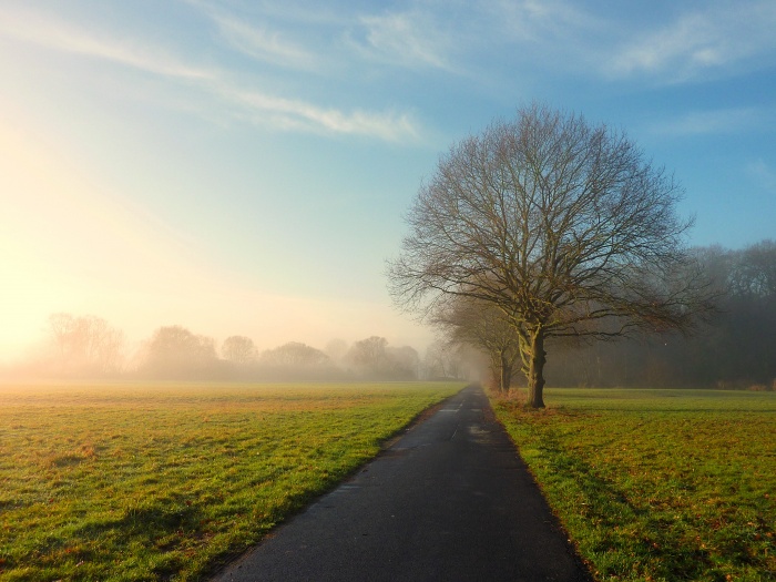 Morning has broken