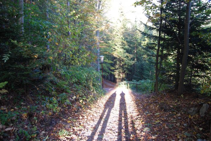 Der lange Schatten des Spätherstes