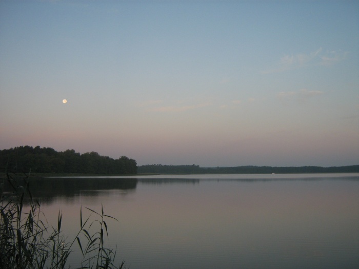 Früh morgens am See