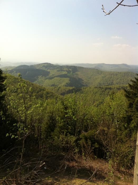 Blick vom Ravensberg