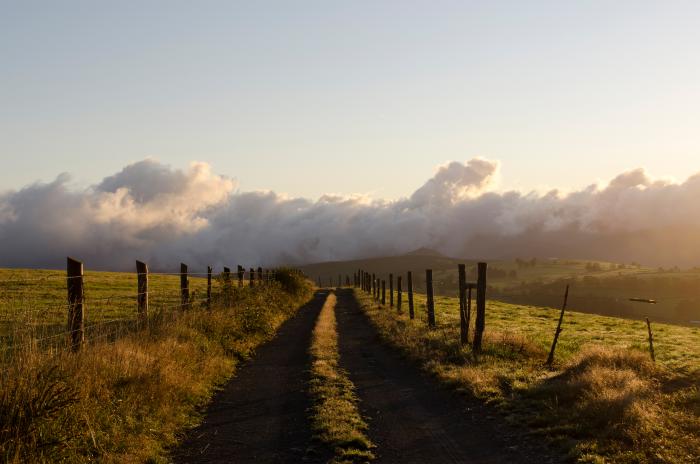 Der Weg ist das Ziel