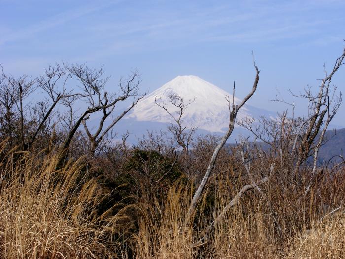 Fujisan