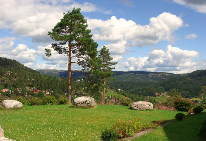 Natur