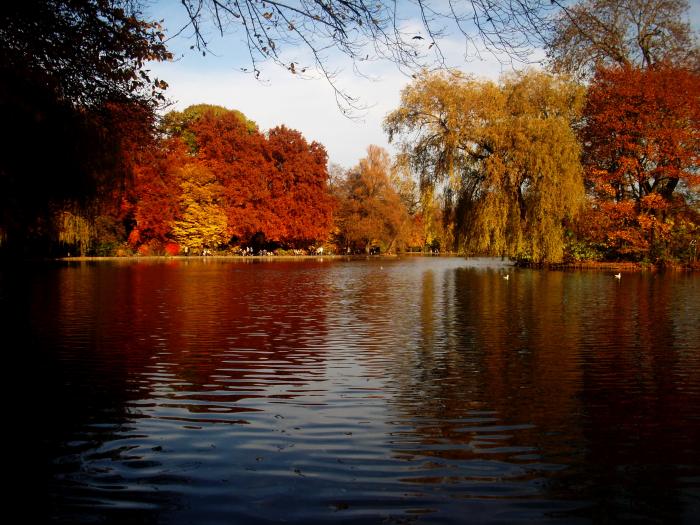 Indian Summer im Englischen Garten