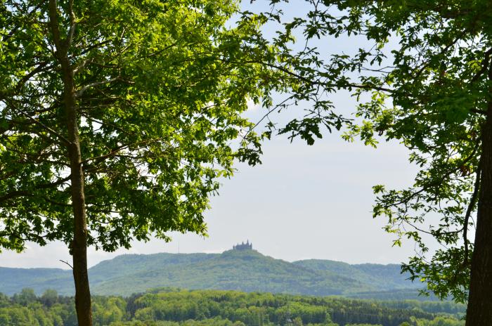 Zollerblick