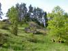 Die Heide in der Fränkischen Schweiz