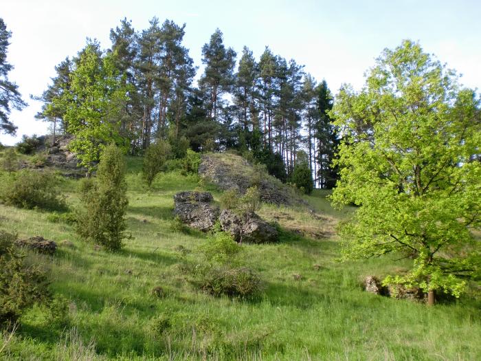 Die Heide in der Fränkischen Schweiz
