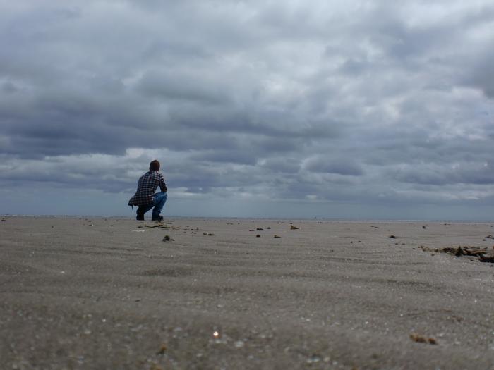 Dublin Bay bei Ebbe