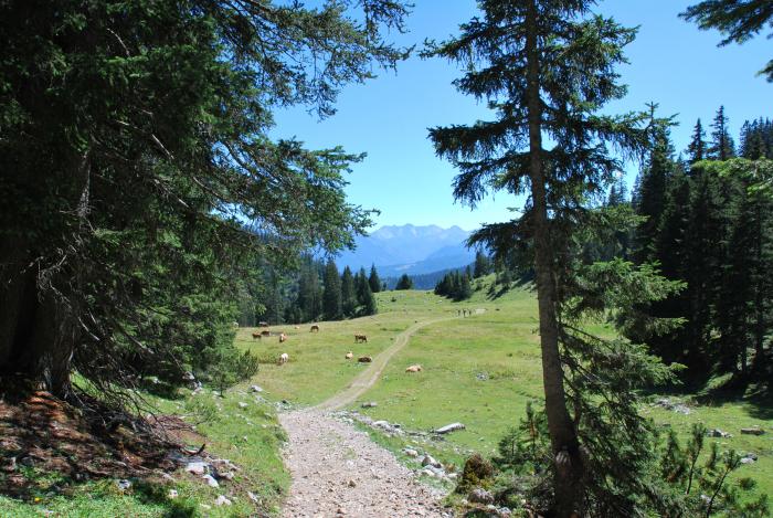 Estergebirge / Aufstieg Krottenkopf