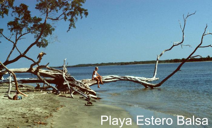 Playa Estero Balsa