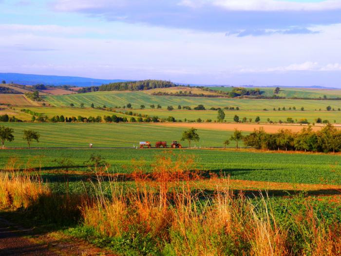 Heimweg