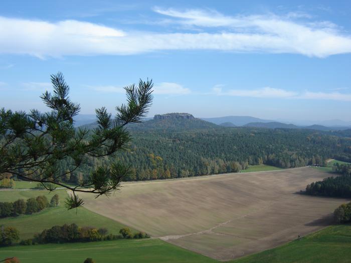 Blick zum Lilienstein