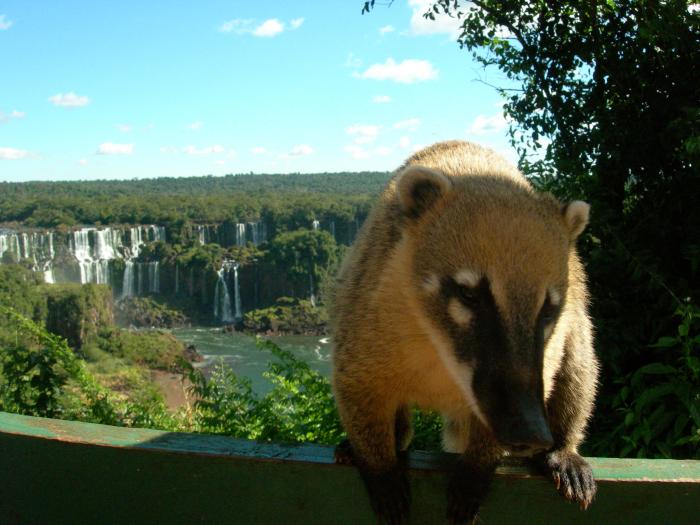 Cataratas de Iguazu