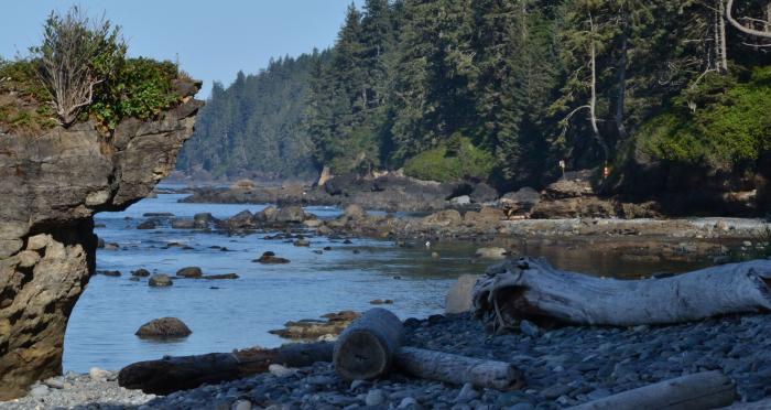 Morgen auf dem Juan De Fuca Trail