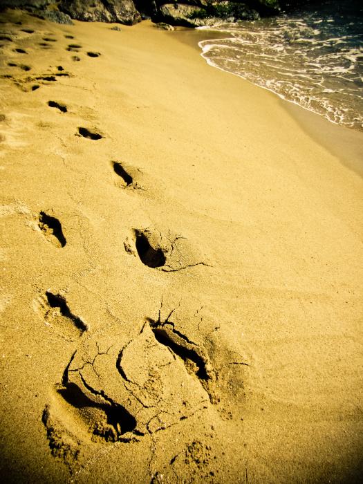 Footsteps in the Sand