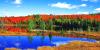 Indian Summer