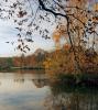 Herbstlicht am Isenhagener See