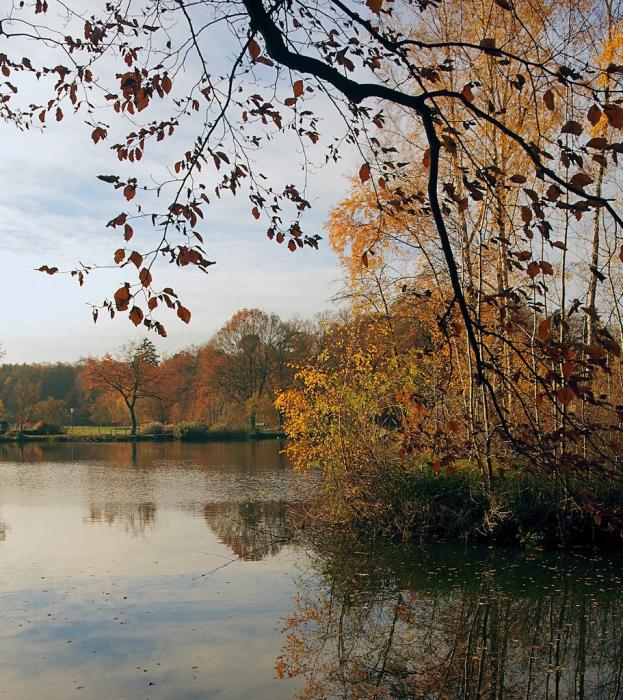 Herbstlicht am Isenhagener See