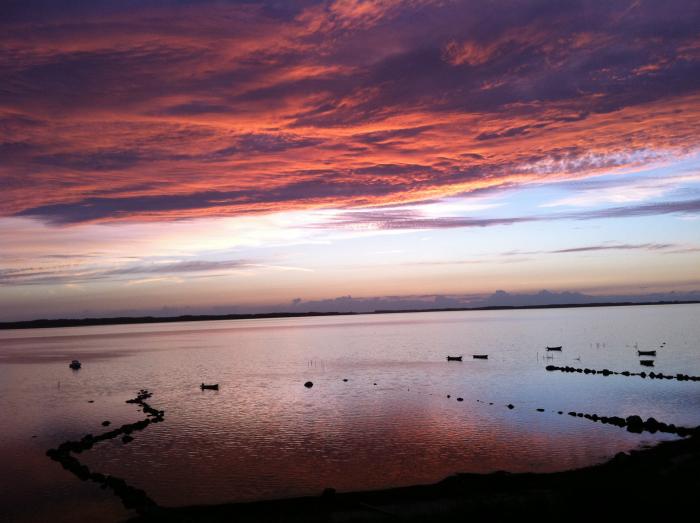 Sonnenuntergang am Roskilde Fjord