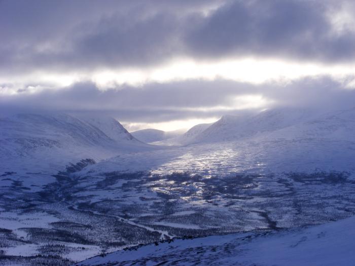 Winter am Kungsleden