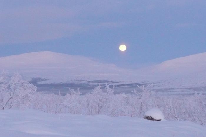 Sylvestertag bei Vollmond