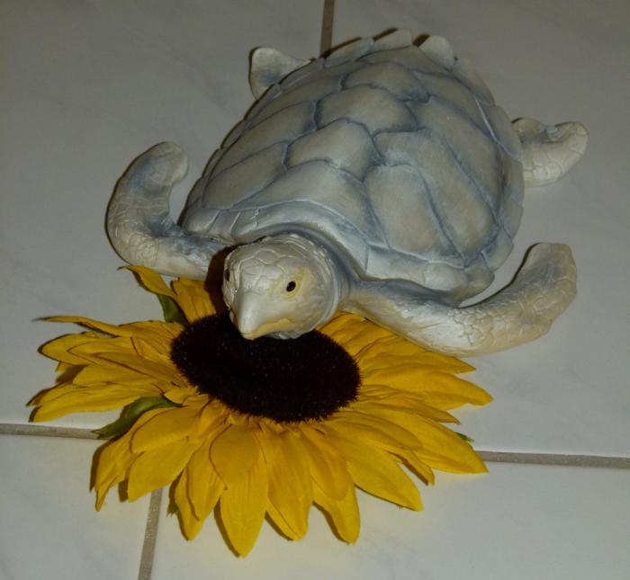 Schildkröte mit Sonnenblume