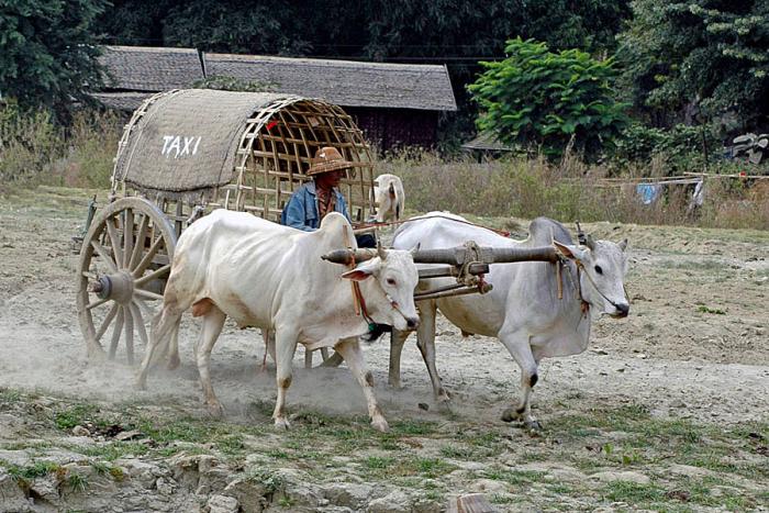 Taxi am Irrawaddy