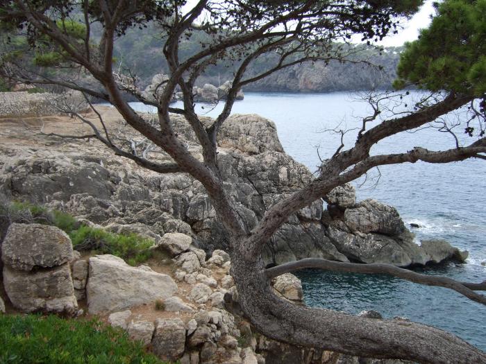 Felsenküste auf der Baleareninsel