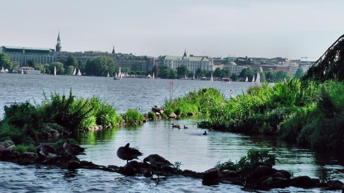 Grünes Hamburg