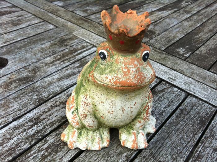 Der alte Froschkönig