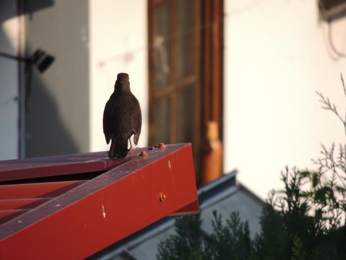 Du willst mich fotografieren?