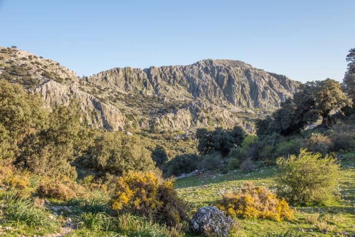 Auf dem Weg zum Ort Grazalema