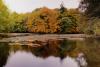 Oktober Farben Dänemark