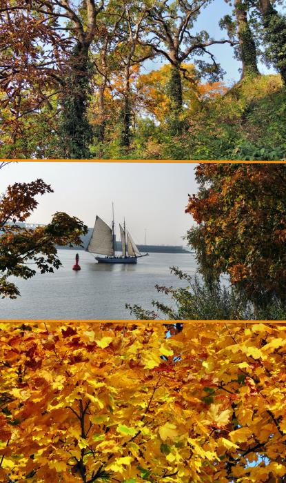 Herbst an der Elbe